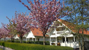 VZ982 Vrijstaand vakantiehuis in Oostkapelle